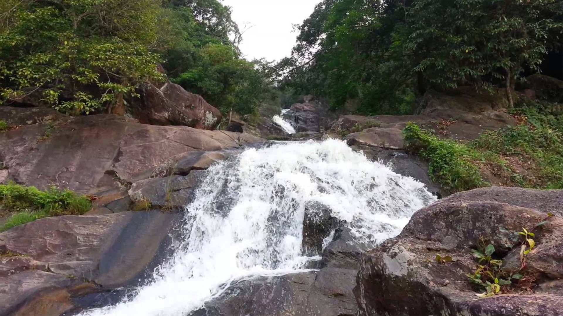 Rừng Yên Tử